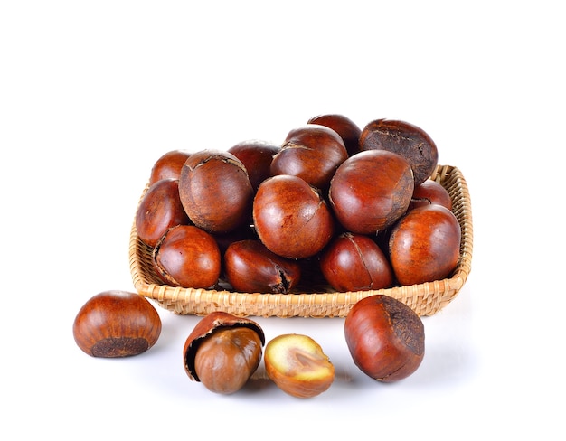 Roasted Chestnut isolated