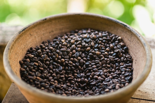 Roasted Civet Coffee