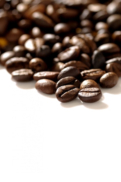 Roasted coffee bean shot on white background