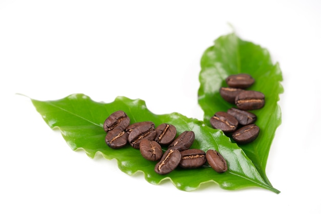 Roasted coffee bean with leave on white 