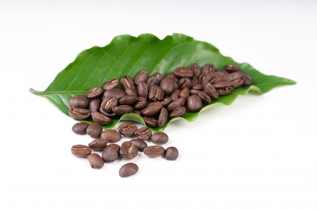 Roasted coffee bean with leave on white 