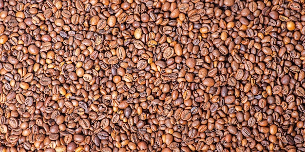 Roasted coffee beans as a background Coffee beans macro