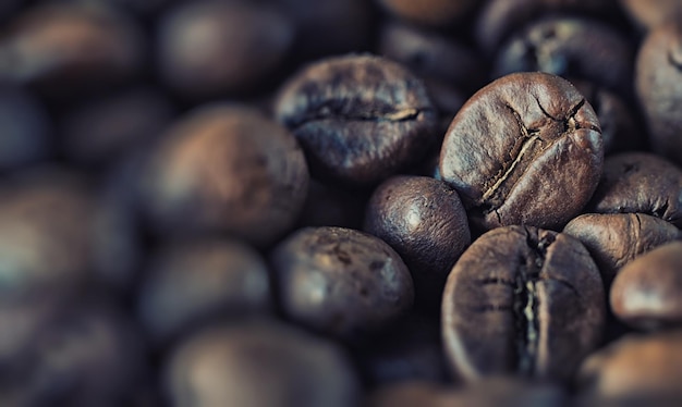 Roasted coffee beans close-up background horizontal dark texture image with soft sample focus and free space for text