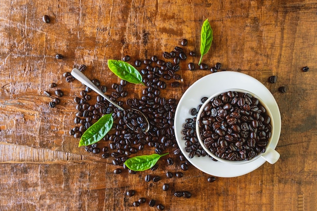 Roasted coffee beans in a cup