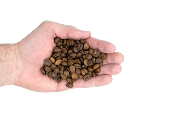 Roasted coffee beans in the hand isolated on a white background