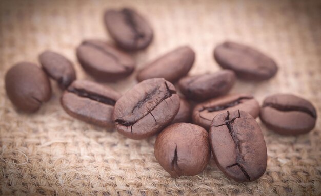 Roasted coffee beans on jute sack