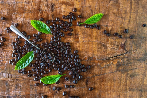 Roasted coffee beans in a spoon on wooden background