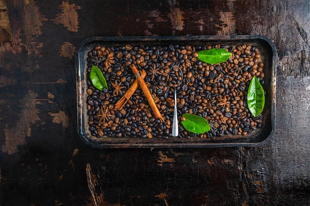 Roasted coffee beans in a tray