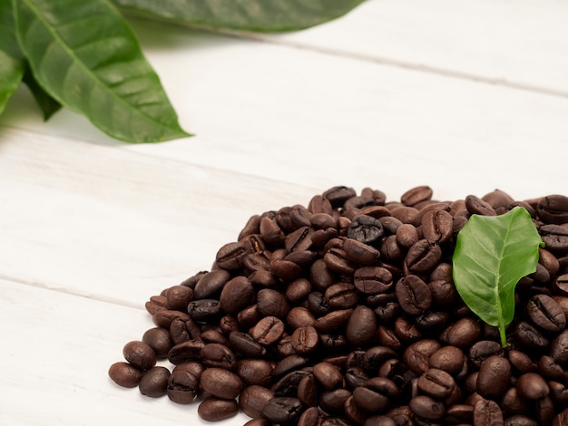 Roasted coffee beans with coffee leaves.