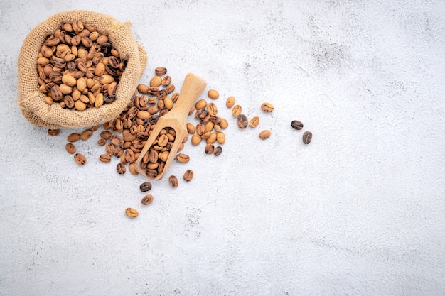 Roasted coffee beans with scoops setup on white concrete background.