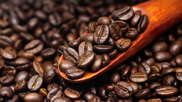 Roasted coffee beans with wooden spoon