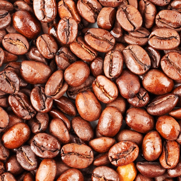 Roasted coffee beans