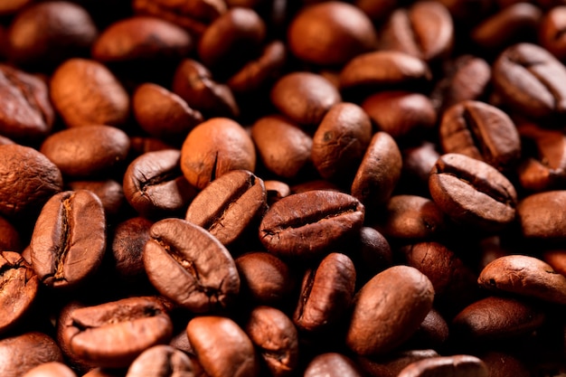 Roasted coffee beans