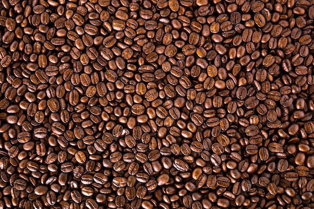 Roasted coffee beans