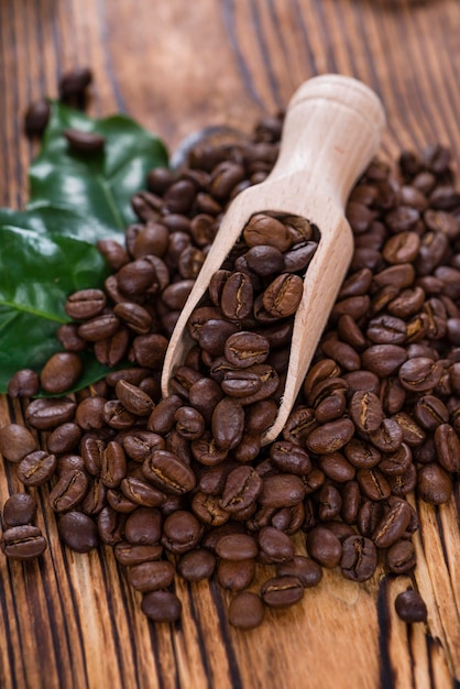 Roasted Coffee Beans