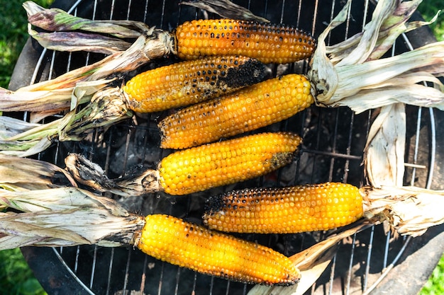 Roasted corn cobs on hot bbq coal close up view autumn picnic food