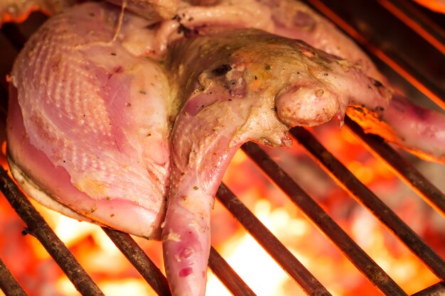 Photo roasted grouse on a grill