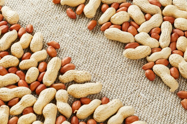 Roasted peanuts in a shell and peeled on a brown fabric background