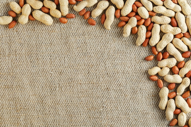 Roasted peanuts in a shell and peeled on a brown fabric background.