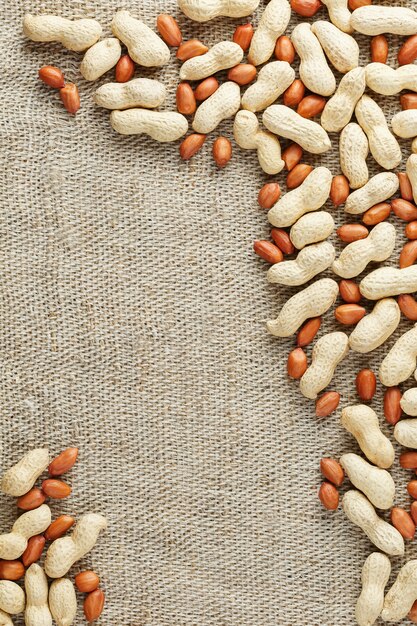 Roasted peanuts in a shell and peeled on a brown fabric background.