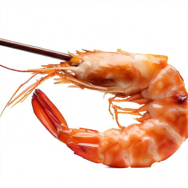 roasted peeled prawn with skewer isolated on white background