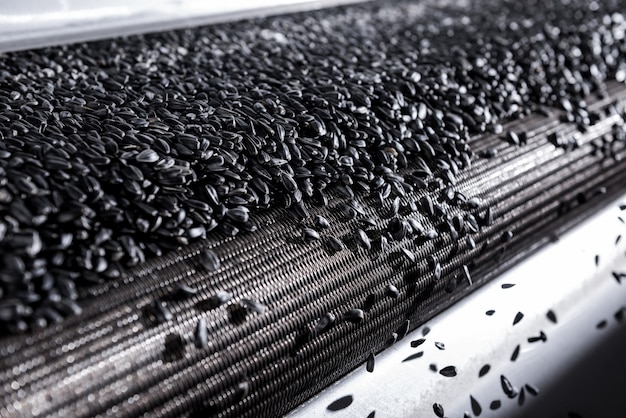 Roasted sunflower seeds equipment at modern factory