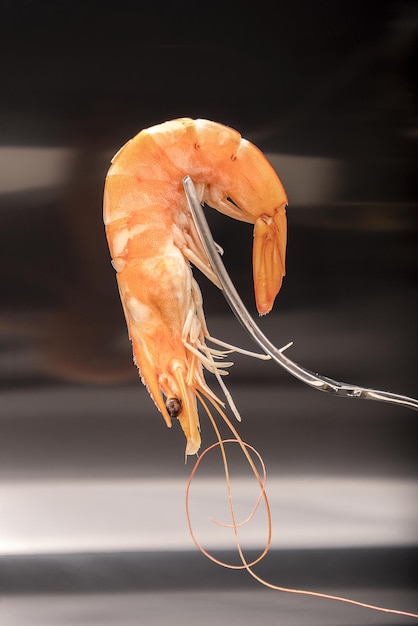 Photo roasted tails of shrimps with fresh rosemary and lemon.