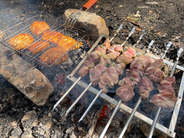 Roasts pork shish kebab and chicken shish kebab in nature