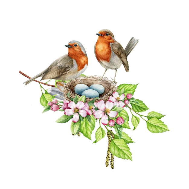 Photo robin birds on the nest with eggs and spring flowers watercolor realistic illustration