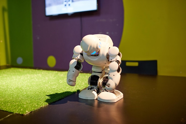Robot, robot umanoide programmabile autonomo. radiocomandato. avvicinamento
