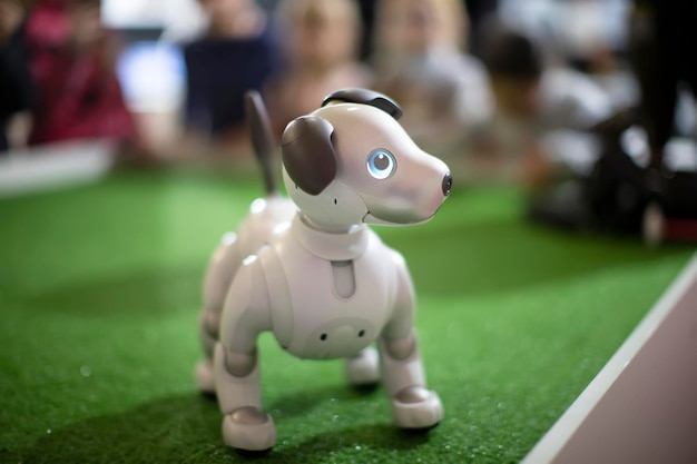 Собака-робот стоит на зеленом полу