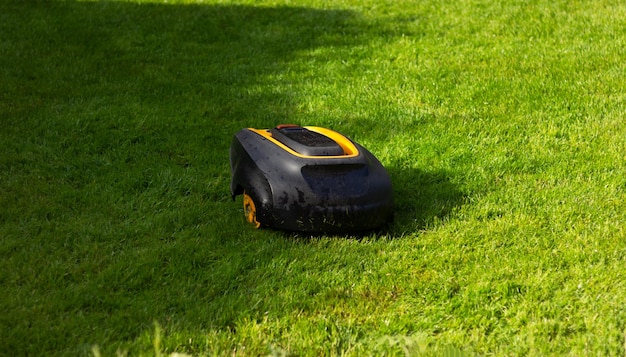 Robot lawnmower mows grass on a green lawn automatic work in gadren