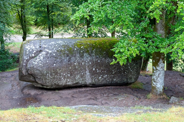 The Roche Tremblante in the forest of Huelgoat