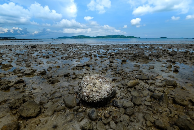 The rock on the beach with blue sky