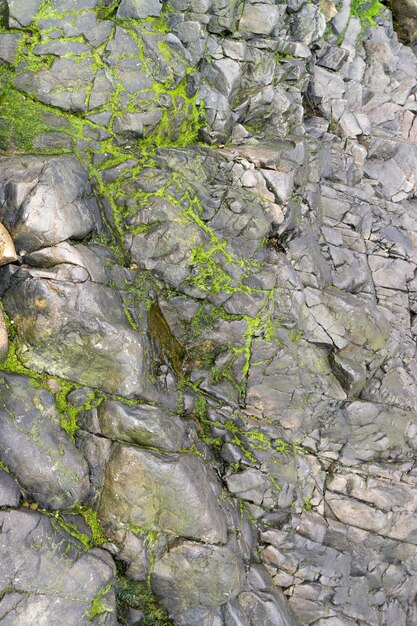 rock detail around PerrosGuirec