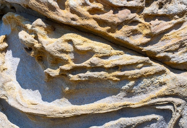 Rock erosion holes at beach