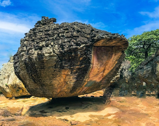 The rock in forest