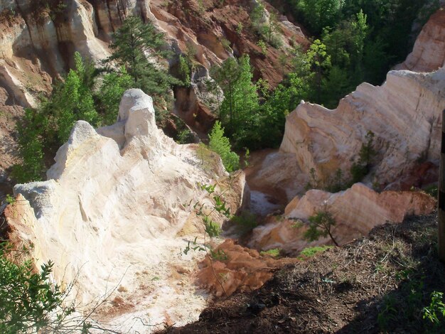 Foto formazione rocciosa in mezzo agli alberi