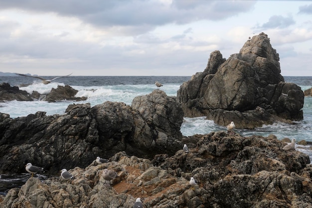 空と対照的に海の岩の形成