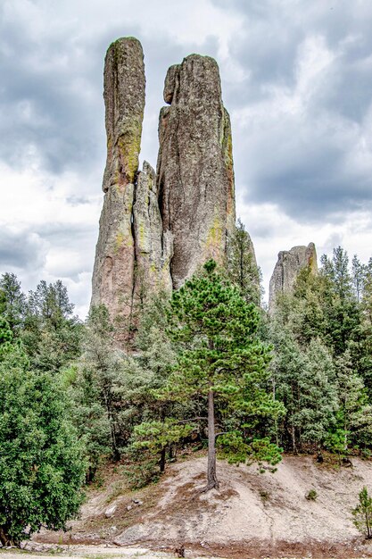 Foto formazione rocciosa da albero contro il cielo