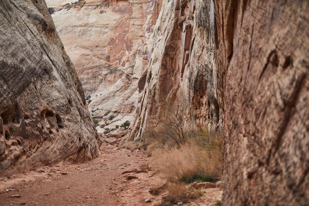 Foto formazione rocciosa nel deserto