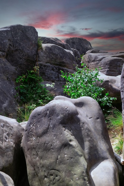 A rock formation at dusk with green plants