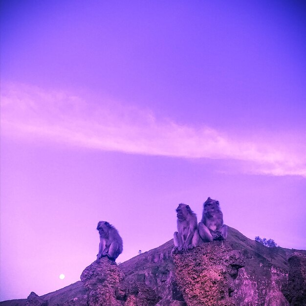 Rock formation on sea against sky at sunset