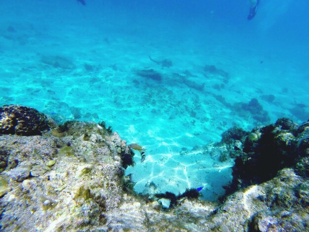 Rock formation in sea