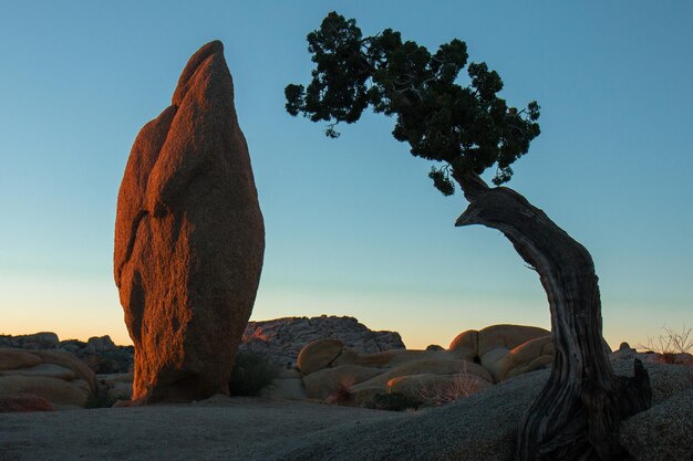 Foto formazione rocciosa e albero contro il cielo