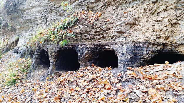 Foto formazioni rocciose in grotta