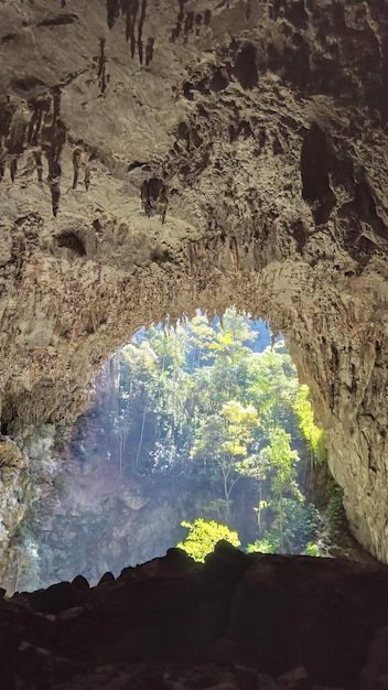 브라질 상파울루의 페타르 알토 리베이라 관광 주립 공원의 암석과 동굴