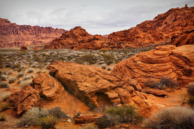 Foto formazioni rocciose in un deserto