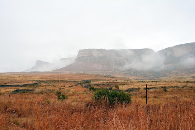 Rock formations on field against clear sky during foggy weather