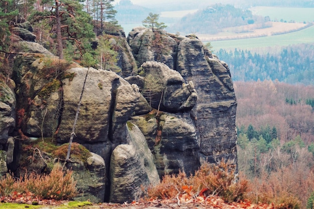 Photo rock formations in a forest